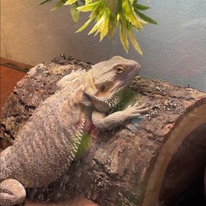 Meet your Posher, Kylie